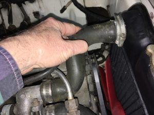 Siegel - Spring Rollout - Hose