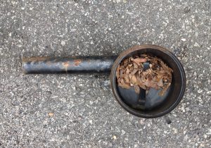 Siegel - Spring Rollout - Nest in Filter