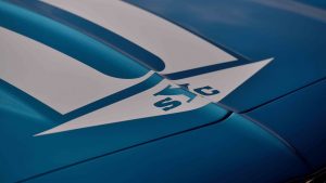 syc yenko hood graphic