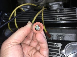 Rob Siegel - spark plugs and wires