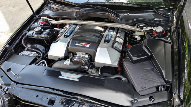 Catera V8