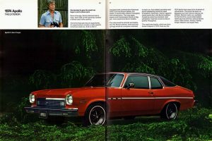 1974 Buick brochure picture 1