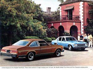 1975 Buick Skylark and Apollo