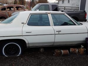 1973 Chevrolet Caprice sedan 8