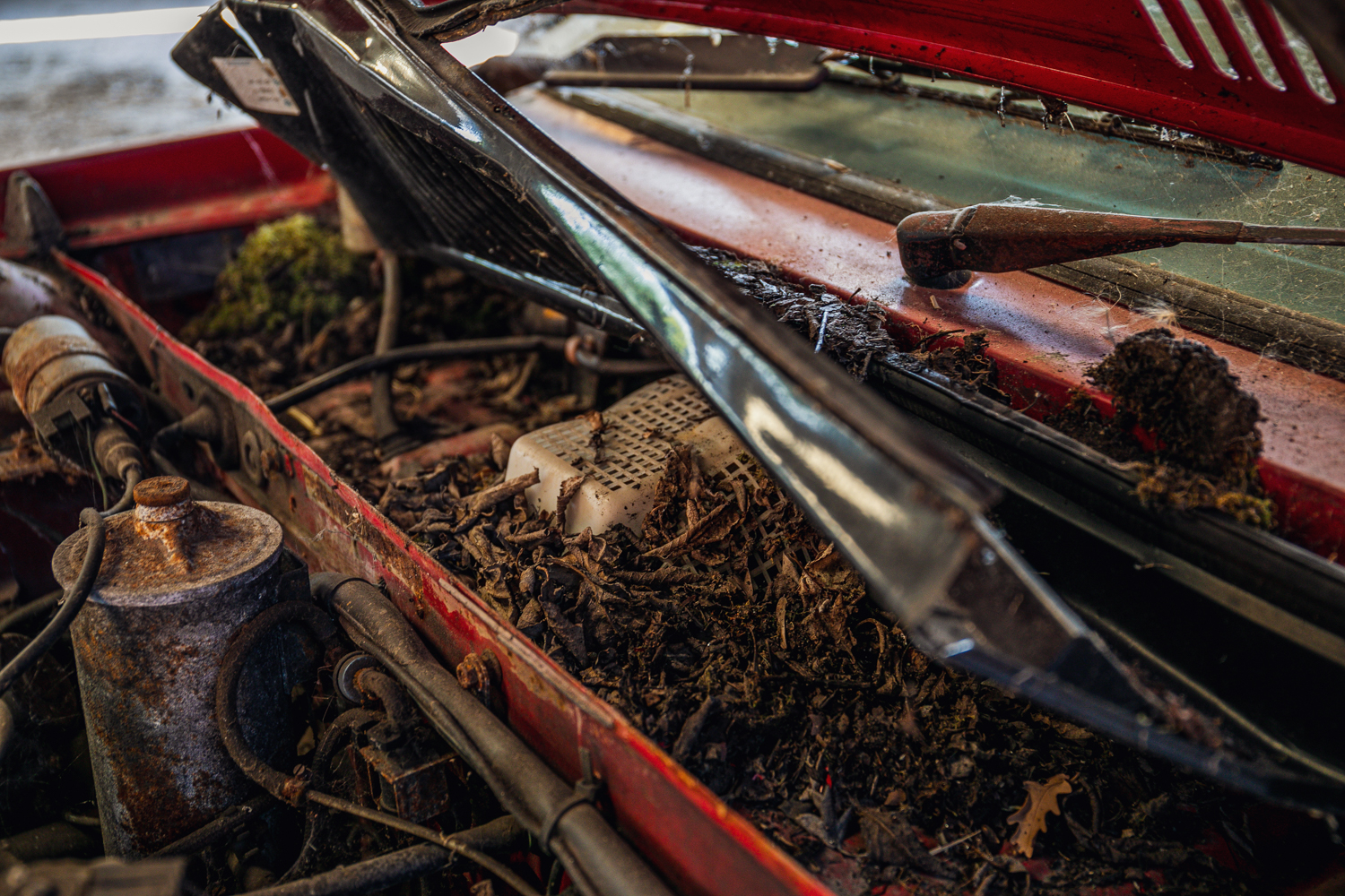 Audi Quattro barn find wiper detail