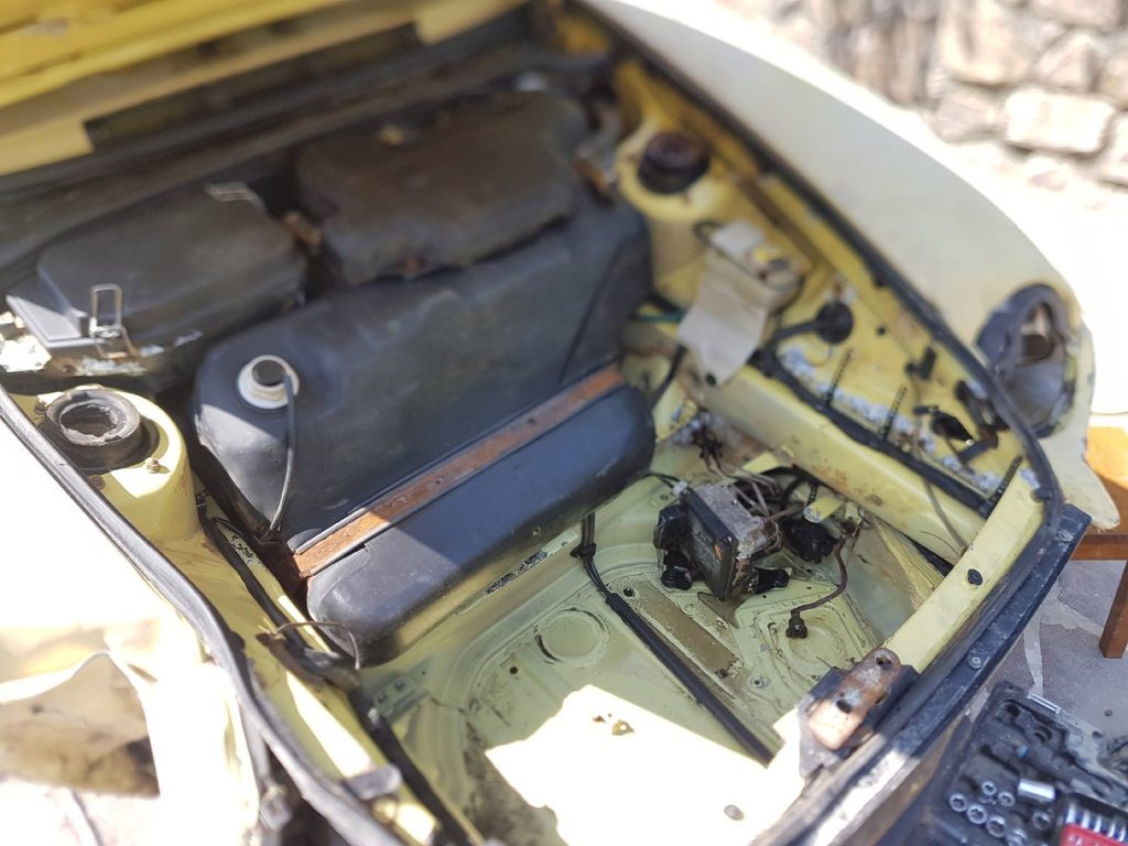 Project Limoncella cleaned trunk