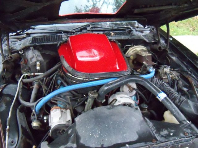 1979 Macho Trans Am engine