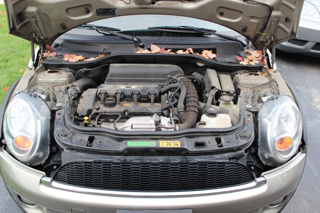 Cleaning under car hood Cleaning under car hood