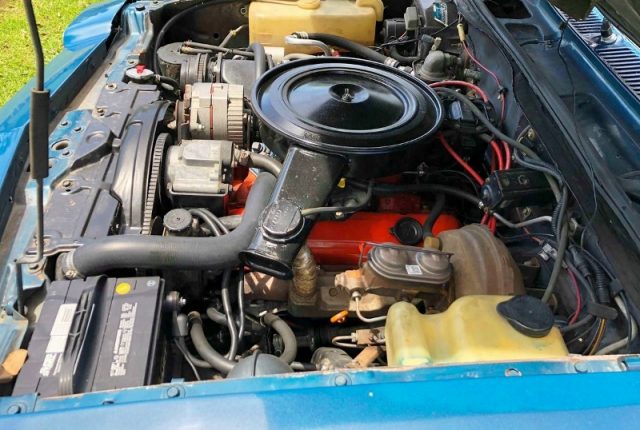 1975 Chevrolet Monza Towne Coupe: Vega Brougham or Mini Monte Carlo