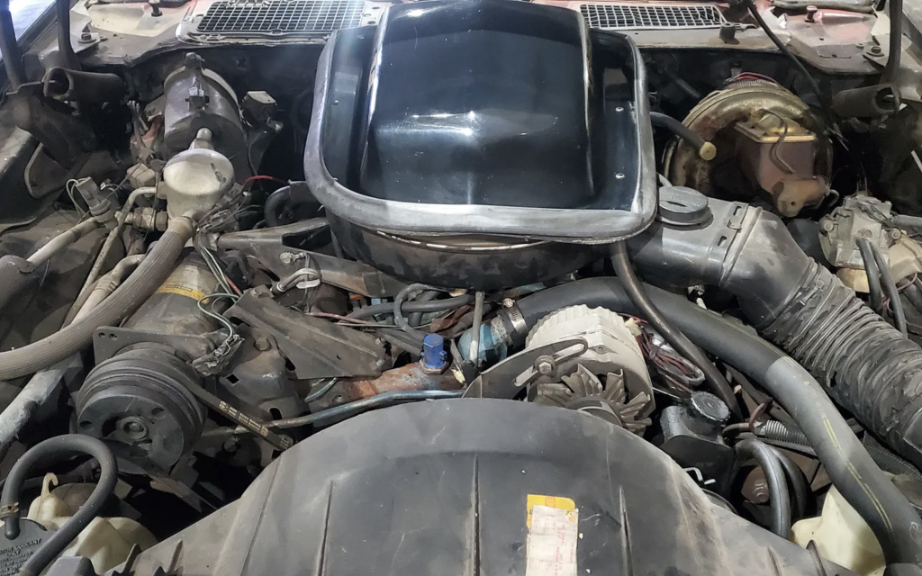 1978 Pontiac Firebird Trans Am barn find engine