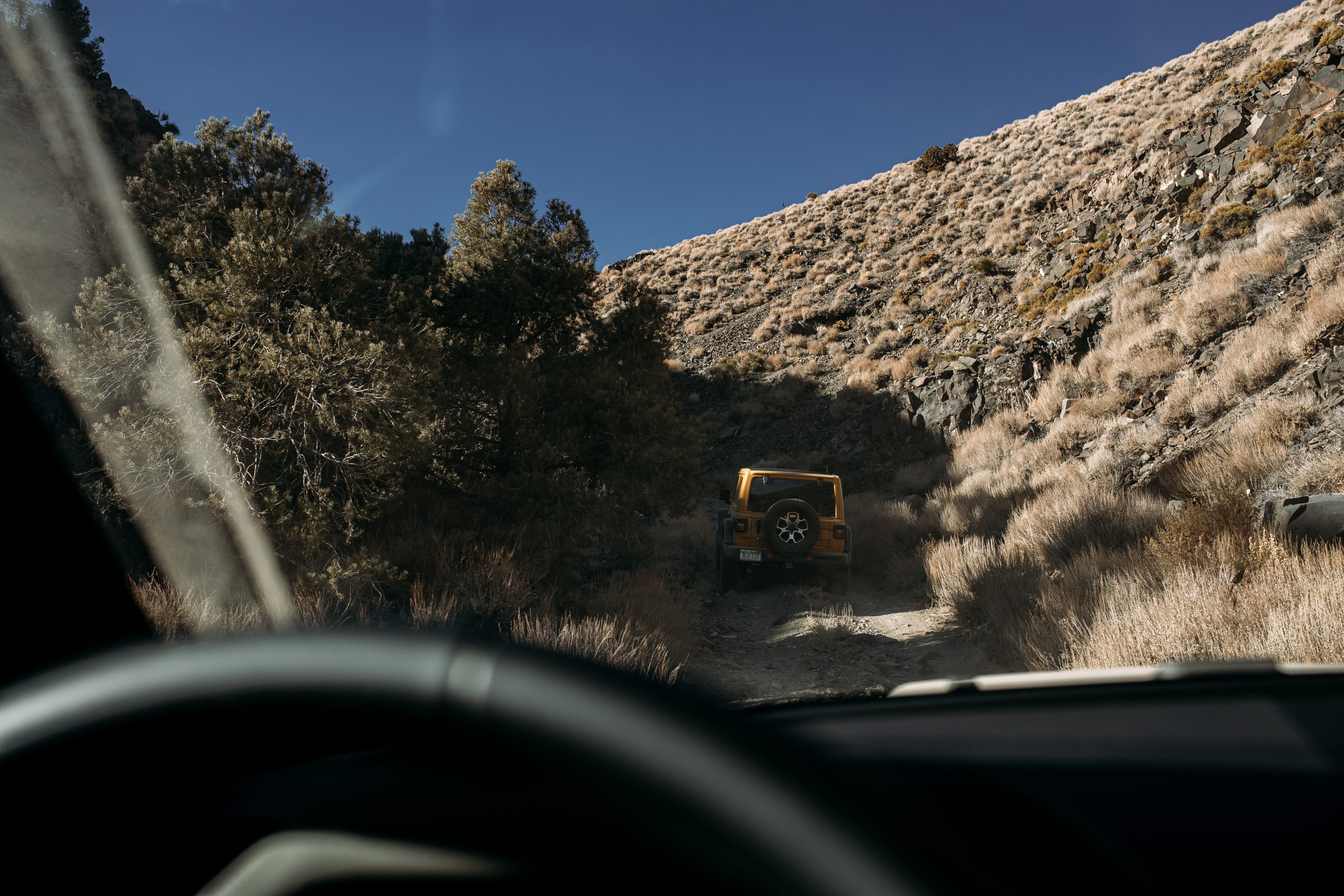 jeep wrangler on trail rear