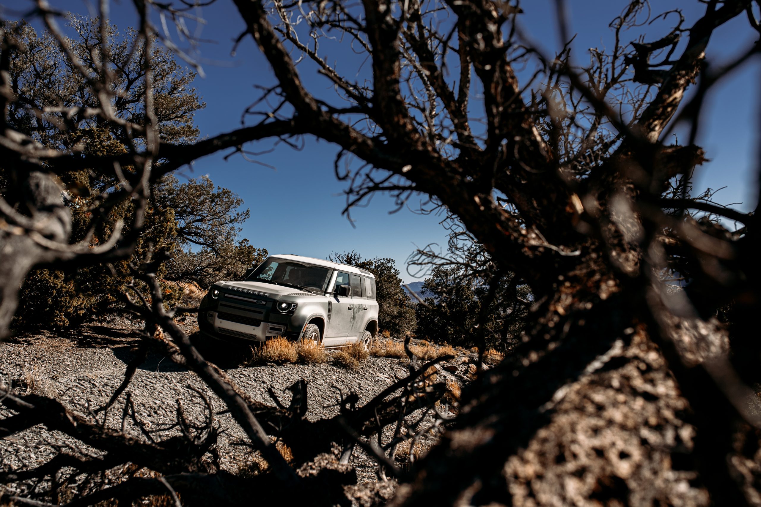 land rover defender on trail front three-quarter