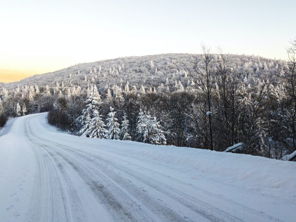canada winter snow road forest