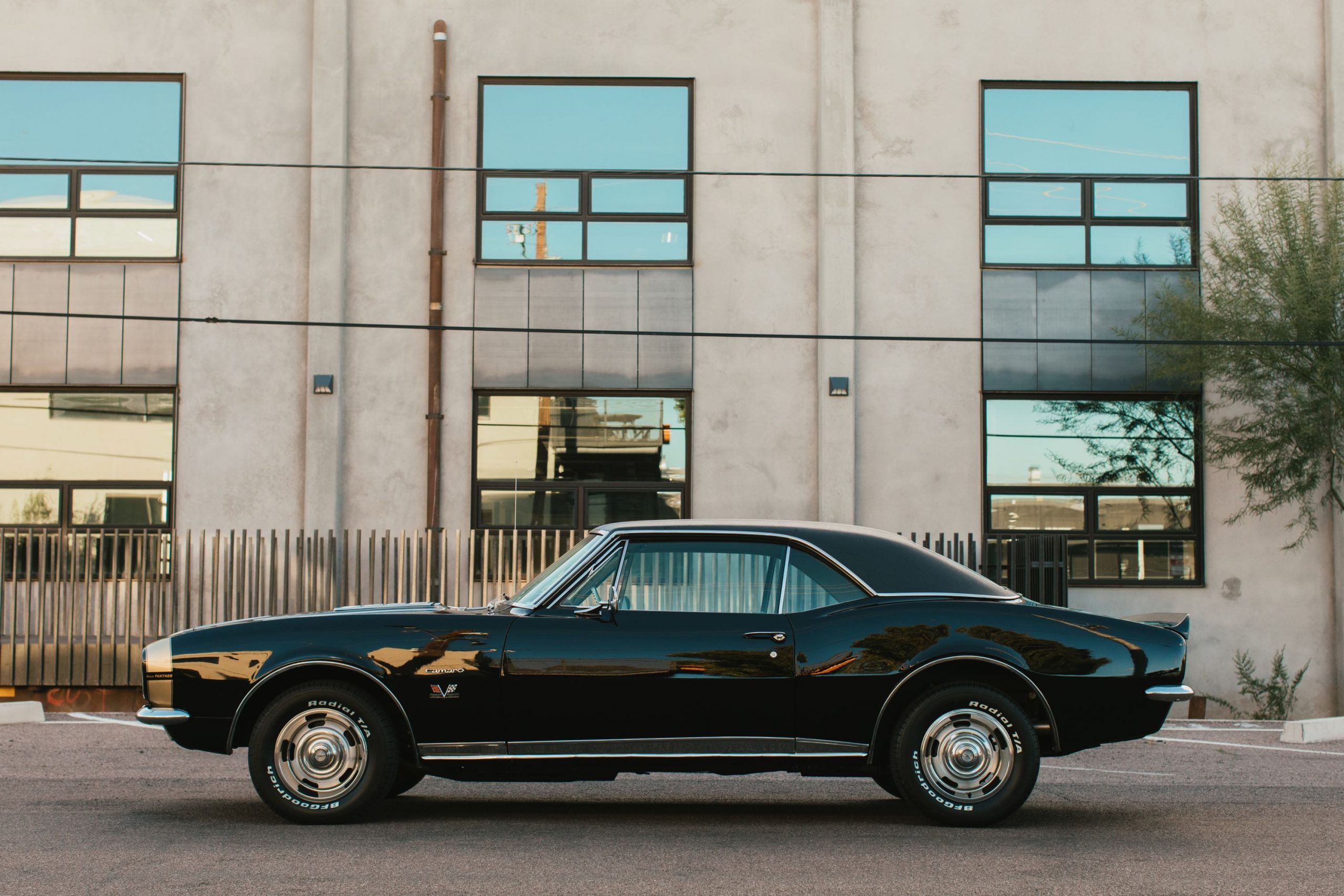 1967 Black Panther Camaro profile