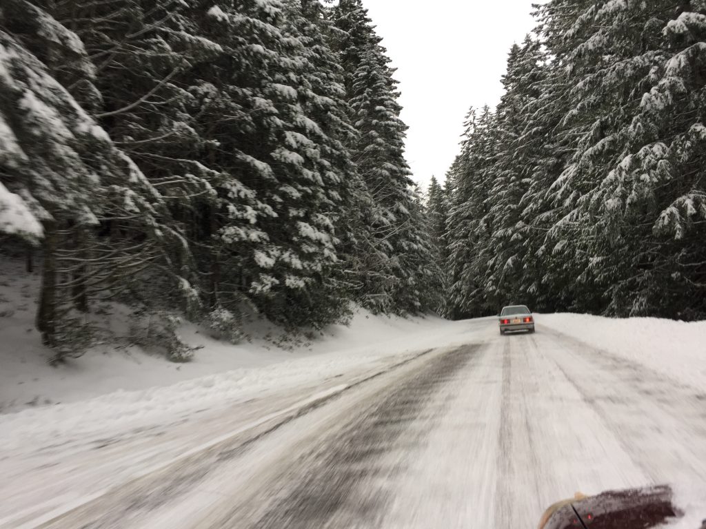 snowy road trees