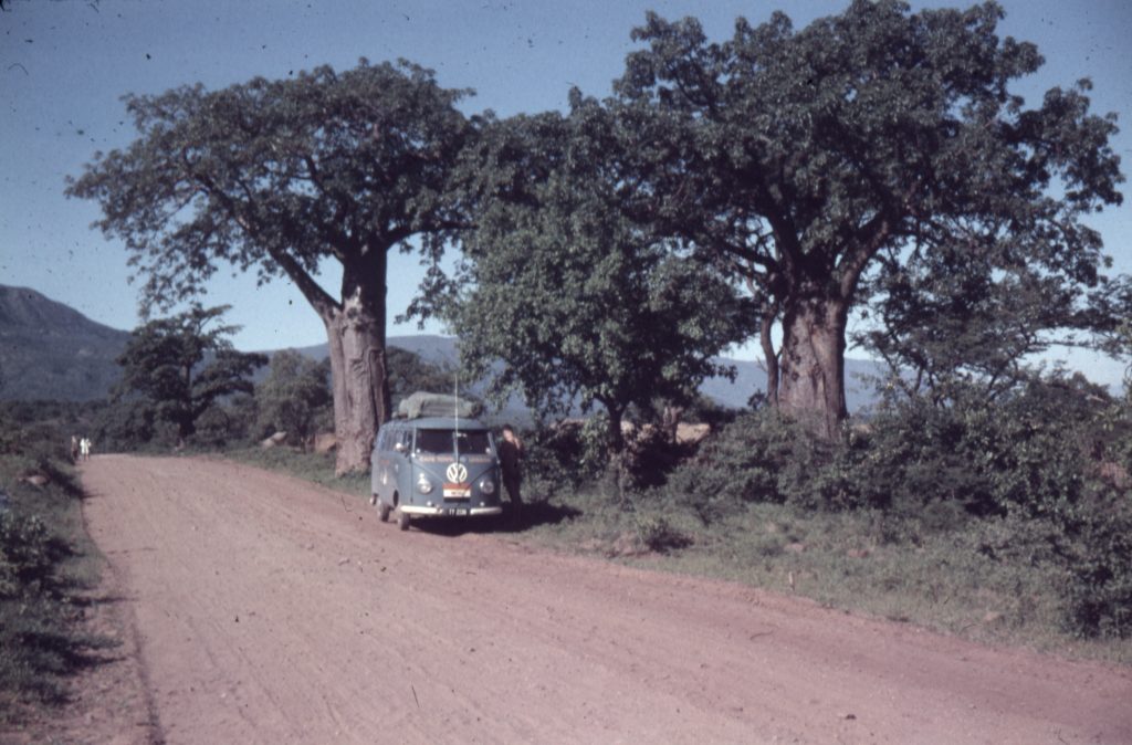 Home is a Journey - Jan 16 - boabab trees