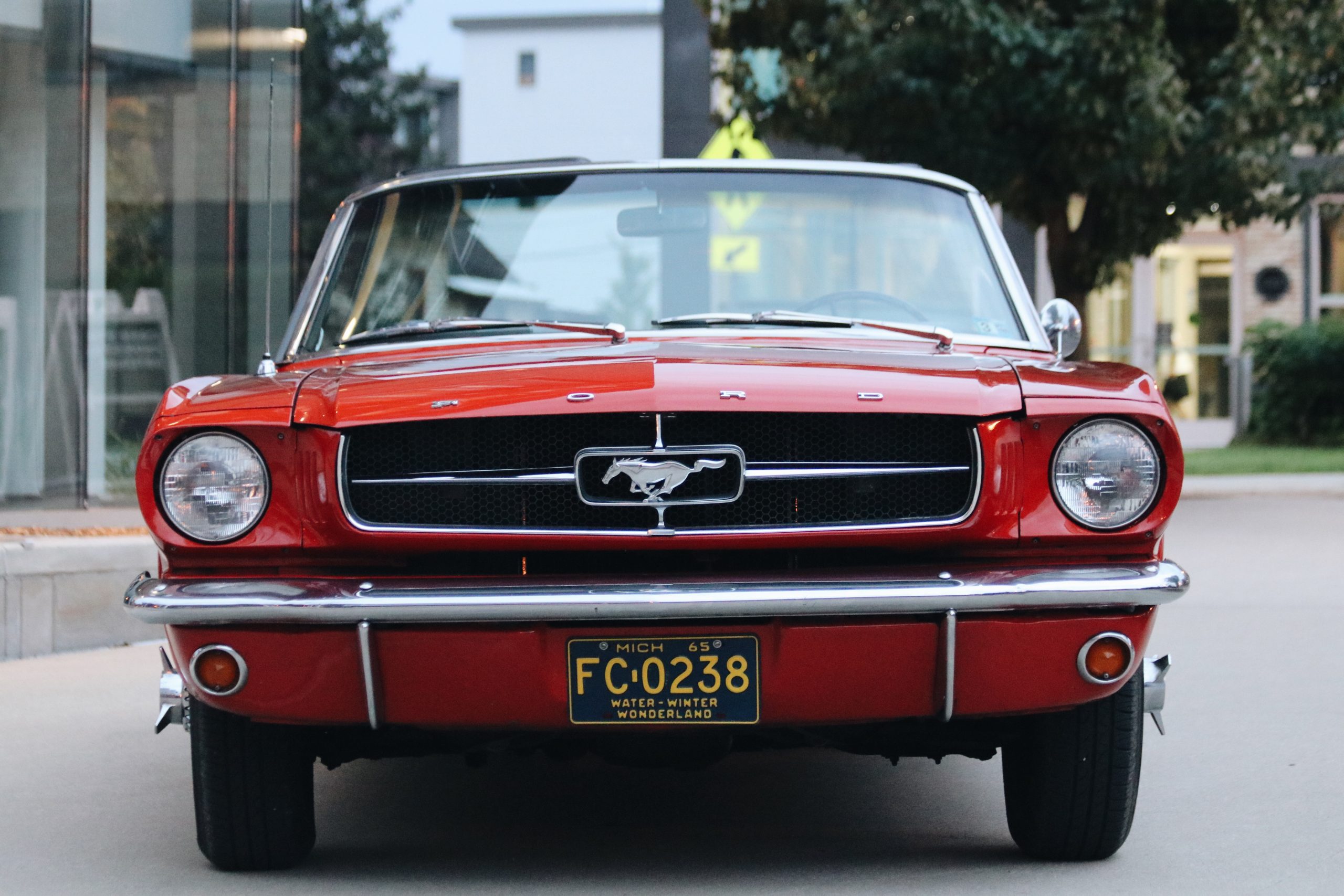 Mel Heppe Mustang front