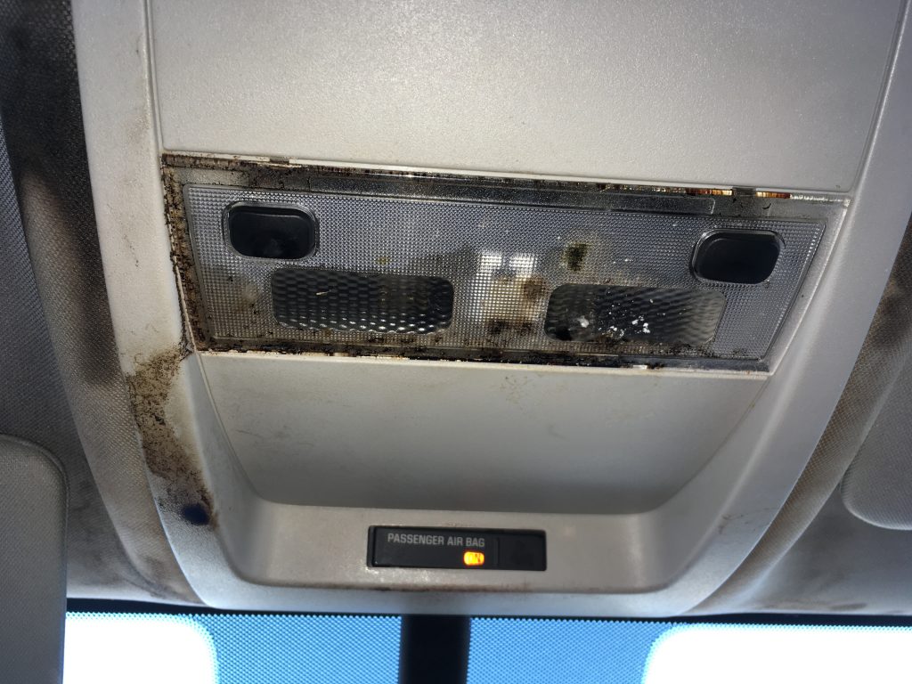 Rob Siegel - Mouse-infested truck - IMG_5614