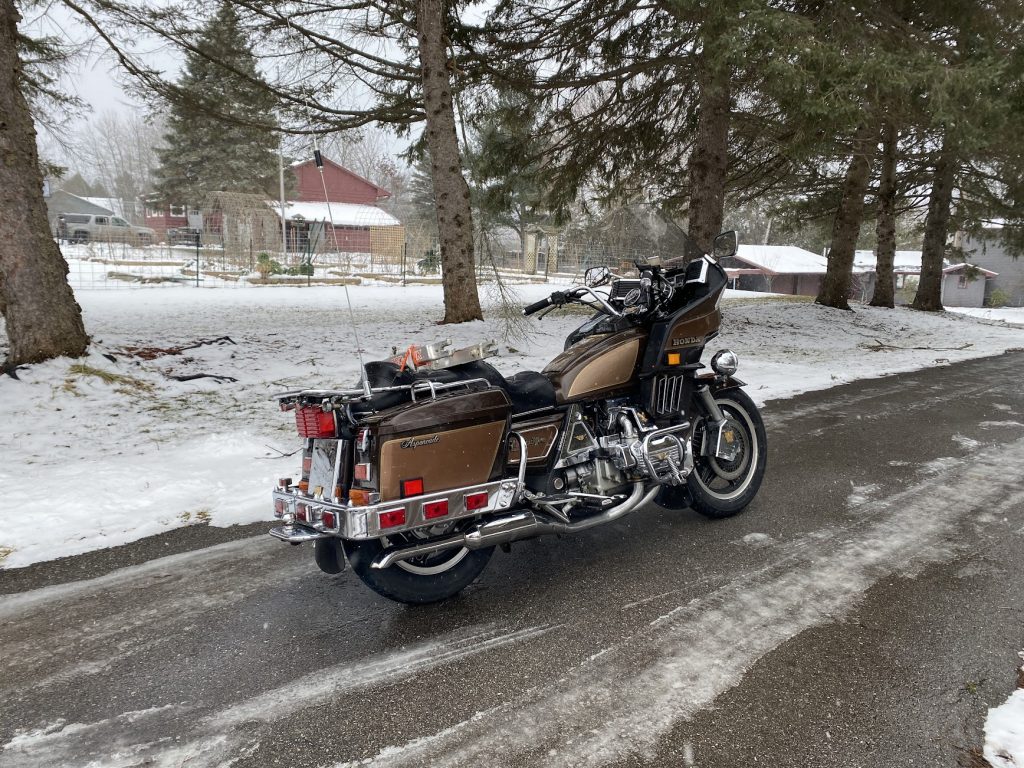 Goldwing in winter