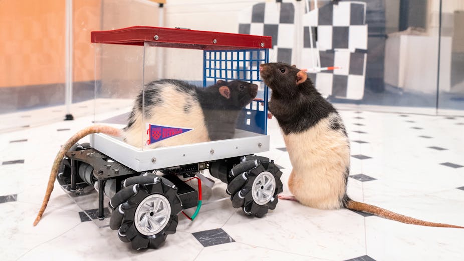 Forget the Rat Race, These Dudes Just Wanna Cruise - Hagerty Media