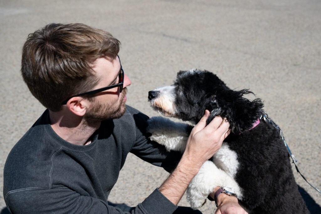 Sonny's labradoodle