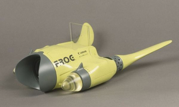 Frog Canon camera