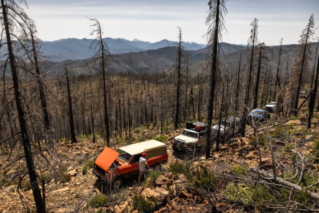 1976 International Scout McGrew Trail