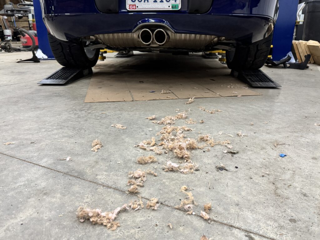 Eckart mouse nest tailpipe