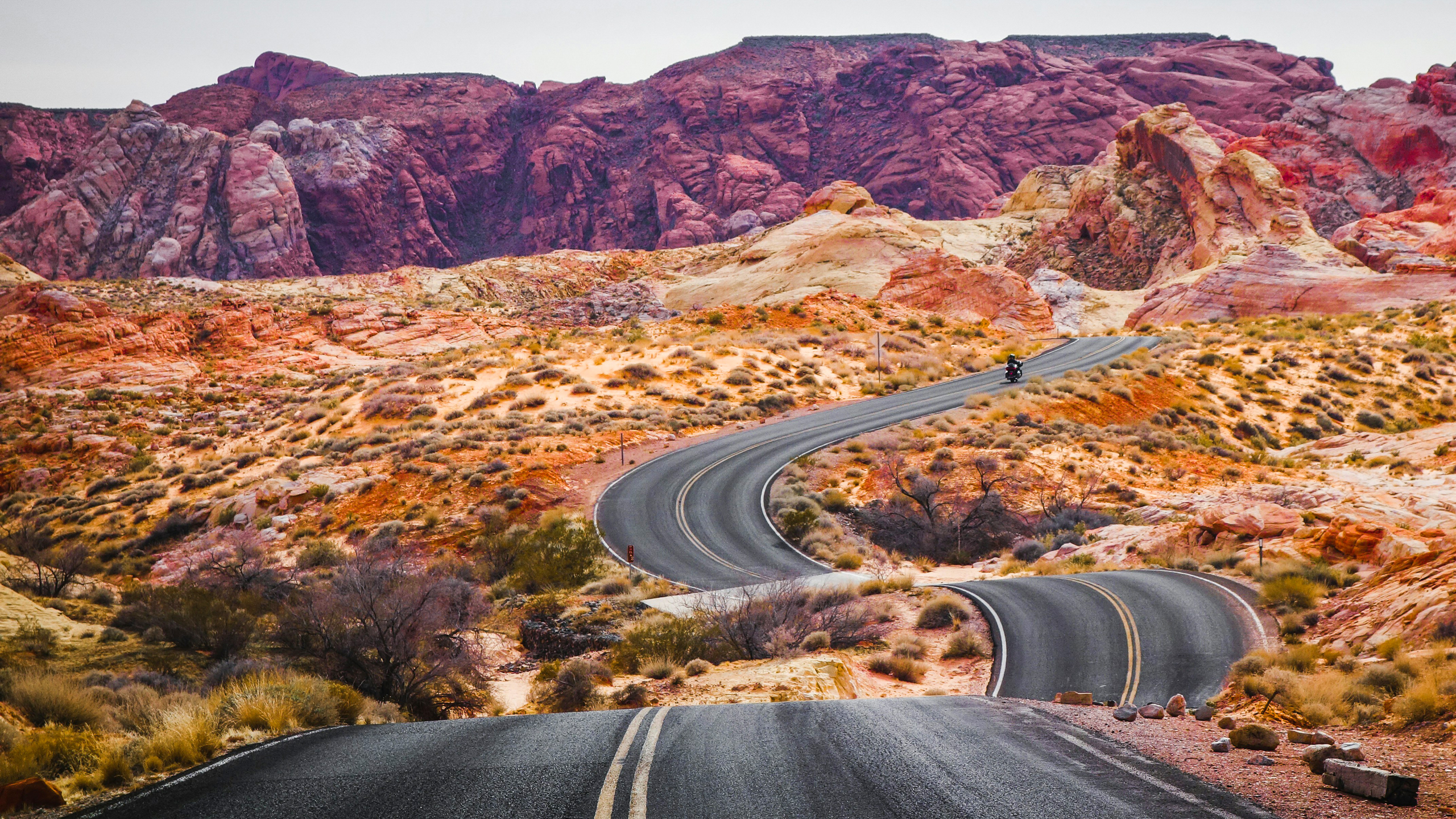 What's Your Favorite Driving Road of 2026?
